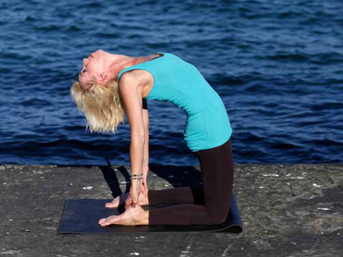 СТАТИЧНА ПРАКТИКА АСАН